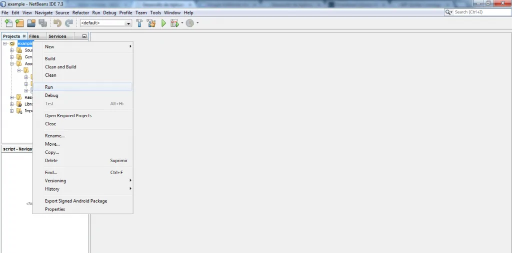 Ejecucion Aplicacion En Netbeans