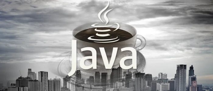 Desarrollador De Java