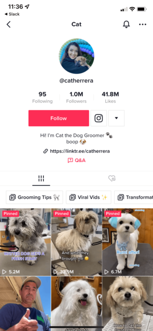 El usuario no verificado de TikTok Cat the Dog Groomer (@catherrera) tiene 1 millón de seguidores