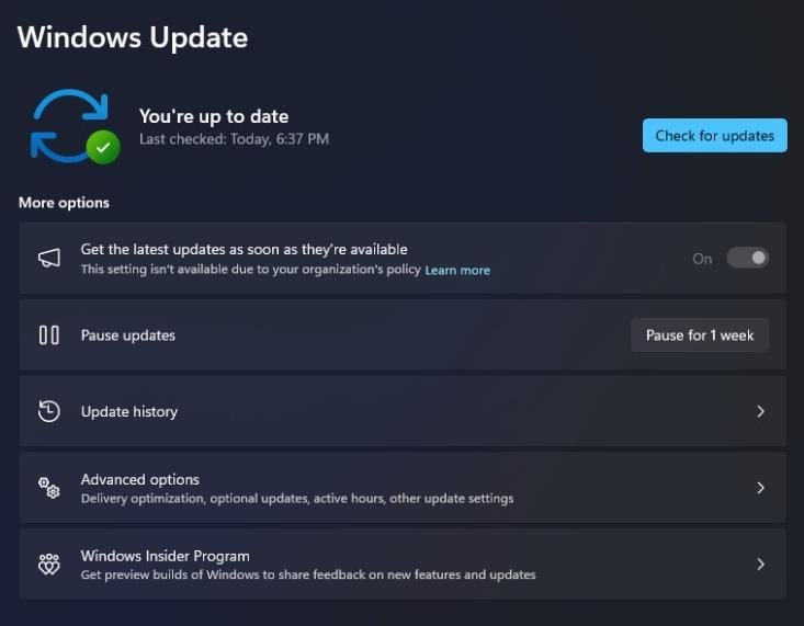 habilitar actualizaciones opcionales de Windows 11